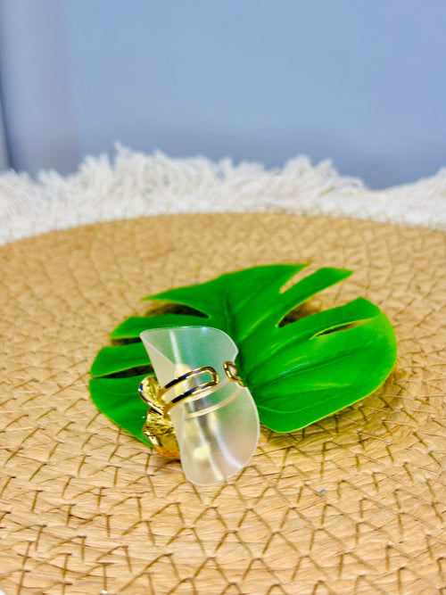 BAGUE TWYLI