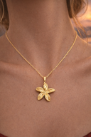 COLLIER DIANA