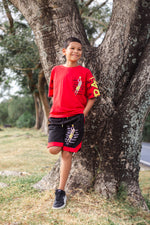ENSEMBLE SHORT STAN