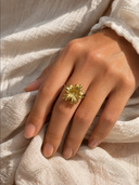 BAGUE VIANA